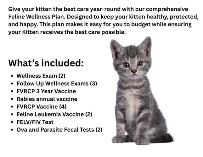 Feline Kitten Wellness Plan