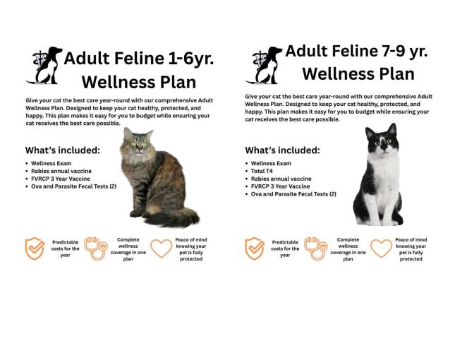 Feline Adult Wellness Plan