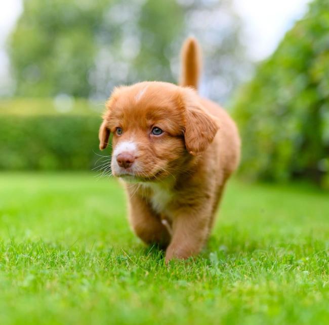shutterstock_2506140911